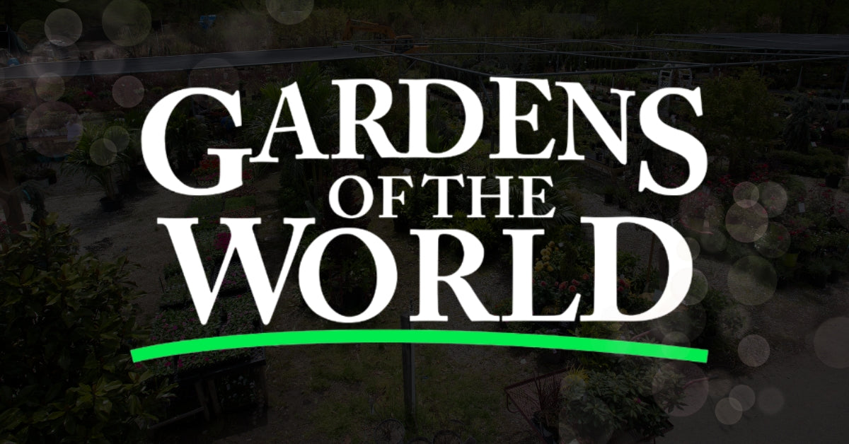 Patio World NJ – Quality Outdoor Furniture at Discount Prices