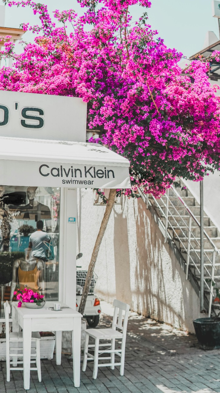 outdoor furniture stores