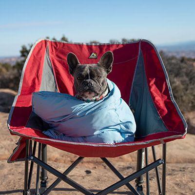 The Best Outdoor Chairs Sale